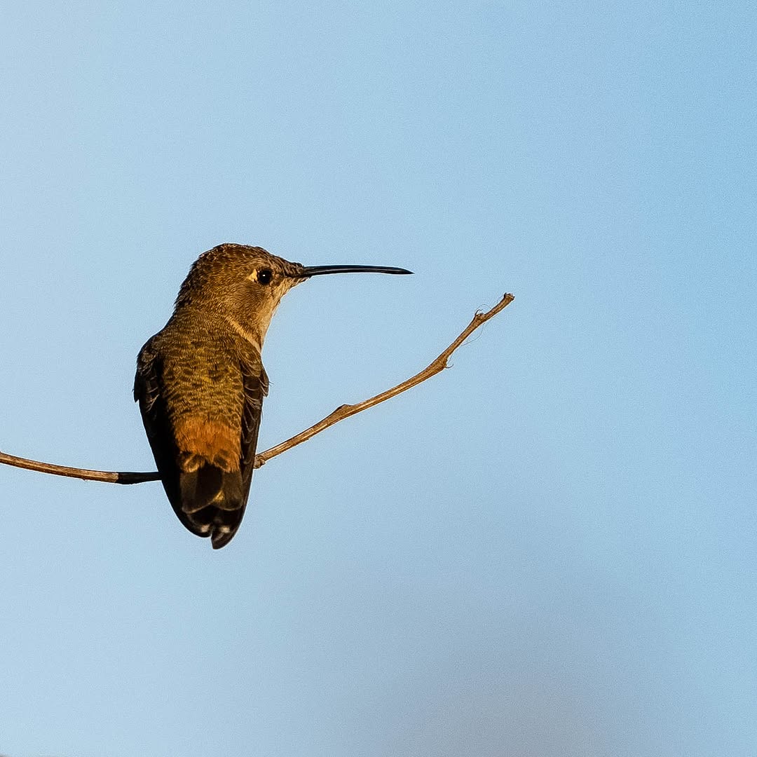 Donde vuelo ahora? 😊